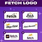 FETCH INTERNATIONAL company icon