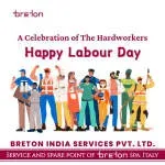 Breton India Services Pvt Ltd company icon