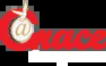 Grace IT Solutions company icon