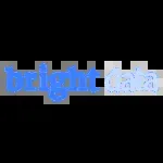 Bright Data company icon