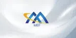 MEF Tech Support Private Limited company icon