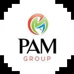 PAM Tiles Park company icon