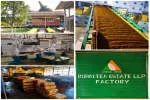 RUPAI TEA ESTATE LLP company icon