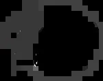 Sage&Thyme company icon