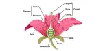 SEPAL AGENCIES company icon