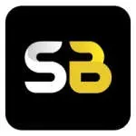 Sb Infowaves Pvt. Ltd. company icon