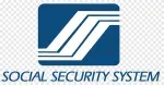 sss company icon