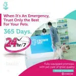 Crown Veterinary Services Pvt Ltd company icon