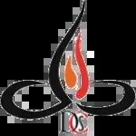 Deemsters Consultancy Services company icon