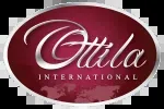OTTILA INTERNATIONAL PVT. LTD. company icon