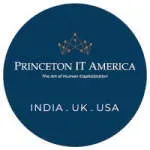 Princeton IT America company icon