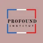 Profound Institut company icon