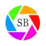 Staffbee Solutions Pvt. Ltd company icon