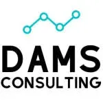 DAMS Consulting company icon