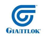 Giantlok India Pvt.Ltd. company icon
