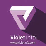 Violet Infosystems Private Limited company icon