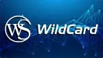 Wildcard Techno Services Pvt Ltd company icon