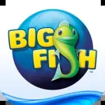 BIG SOCIALS company icon