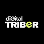 Digital Triber company icon