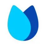 Vidyalai company icon