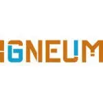 igneaum skincare LLP company icon