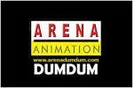 Arena Animation Dumdum company icon