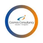 Cosmos Consultancy company icon