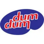 DumDum Laundry company icon